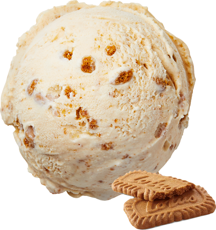 Authentic South indian Food in Ahmedabad